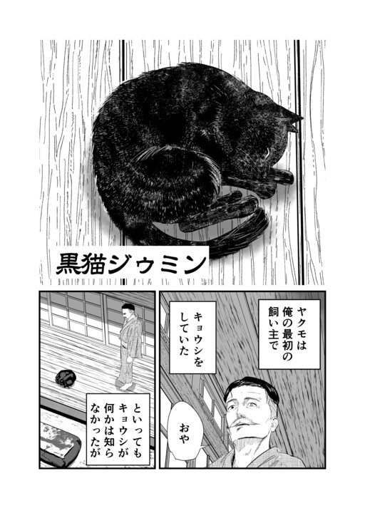 Cover of Black Cat Jiumin