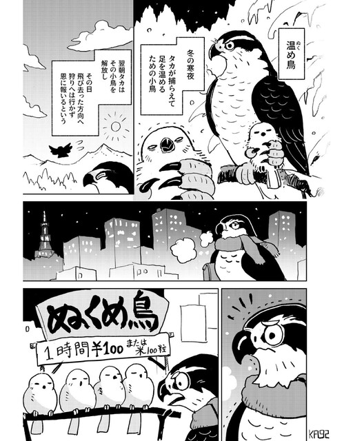 Cover of Warmer Birds