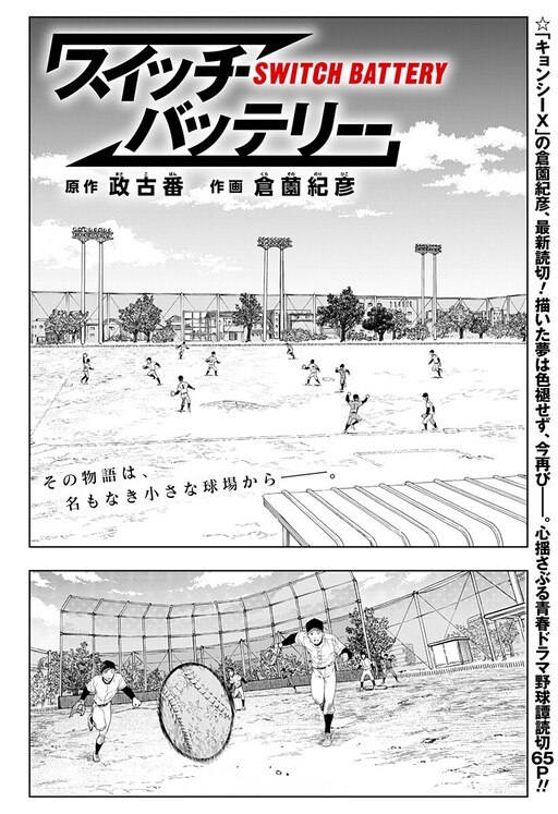 Cover of Switch Battery