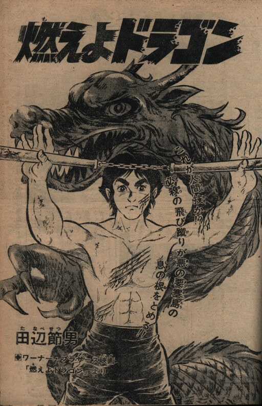 Cover of Enter the Dragon