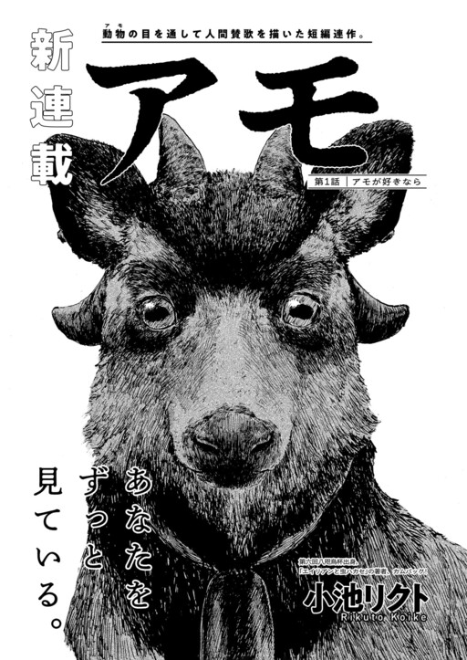 Cover of アモ