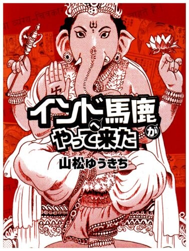 Cover of Stupid Guy Goes To India