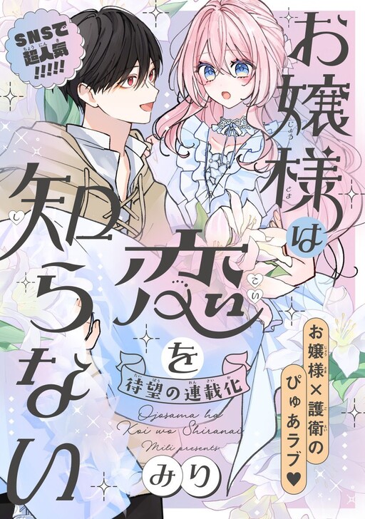Cover of The Noble Lady Knows Nothing About Love.