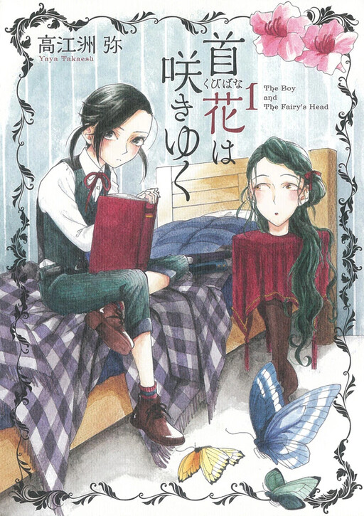 Cover of The Boy and The Fairy's Head