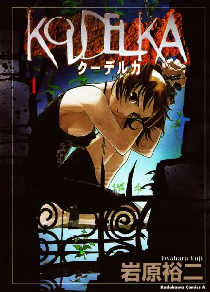 Cover of Koudelka