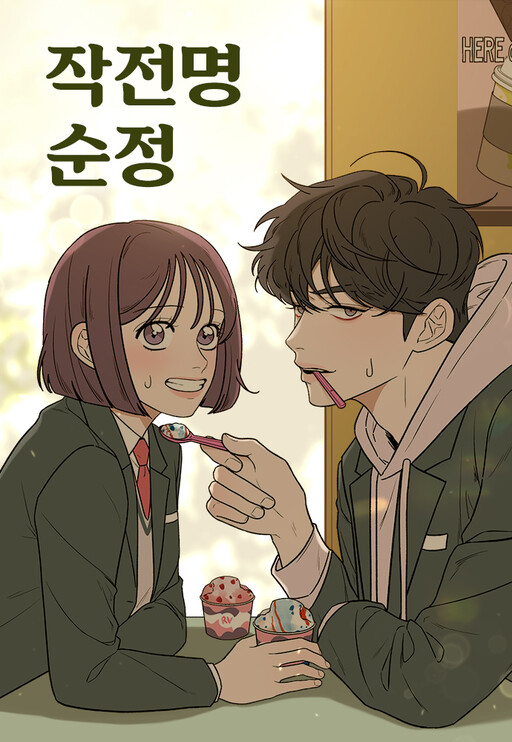 Cover of Operation: True Love