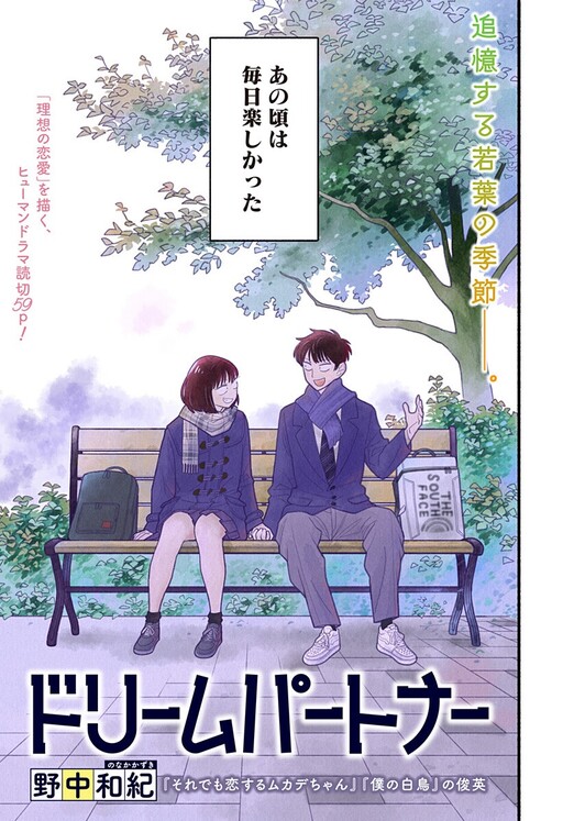 Cover of Dream Partner