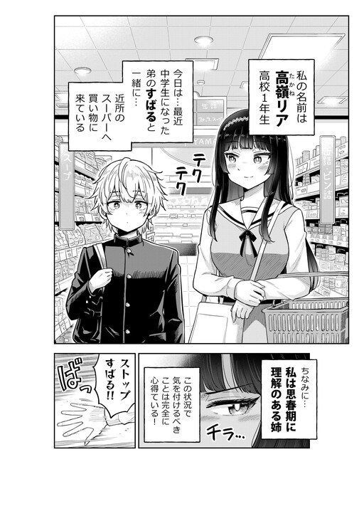 Cover of Shishunki ni Rikai no Aru Ane no Hanashi