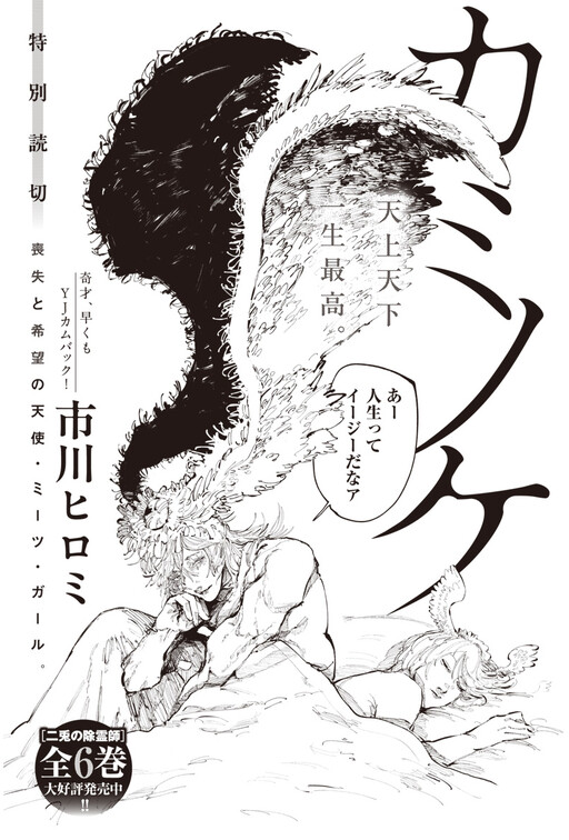 Cover of A Celestial's Plumage