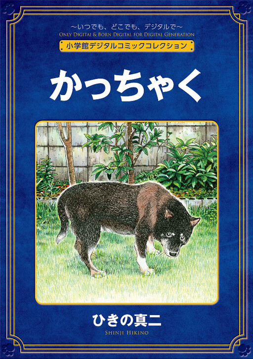 Cover of Kacchaku