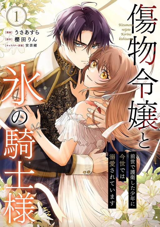 Cover of The Damaged Lady and the Ice Knight