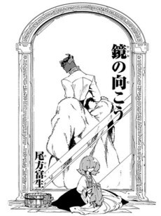 Cover of Beyond the Mirror