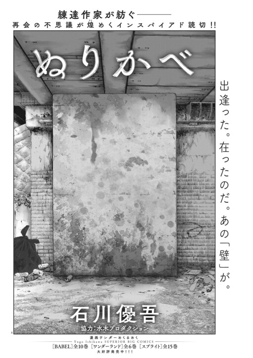 Cover of Painted Wall