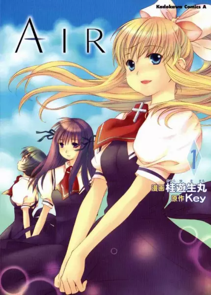 Cover of Air