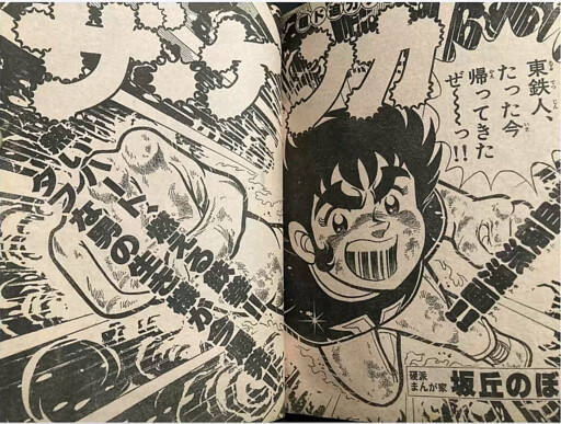 Cover of The Fight