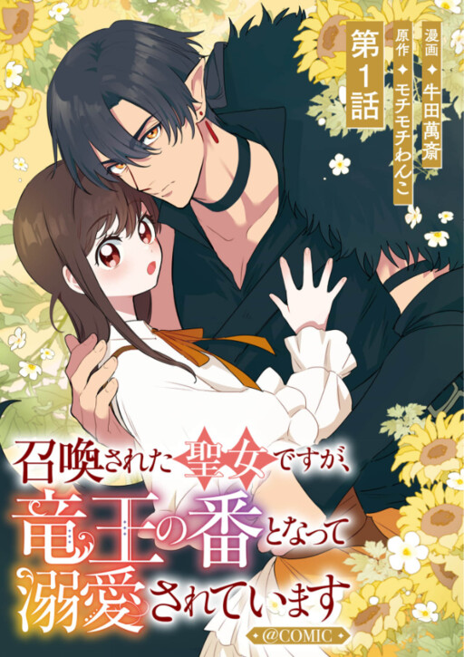 Cover of 召喚された聖女ですが、竜王の番となって溺愛されています@COMIC