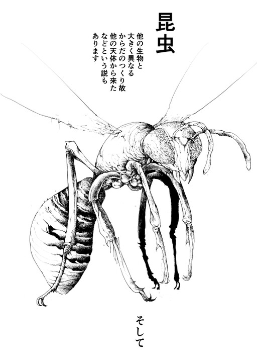 Cover of Looking Into the Theory of Insects Coming From Outer Space