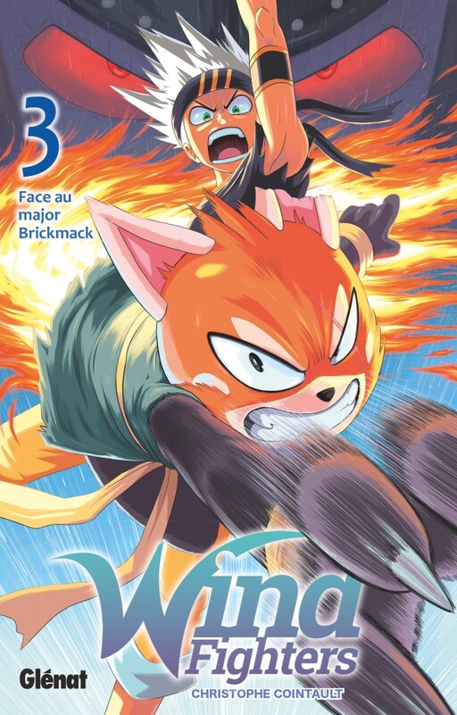 Cover of Wind Fighters