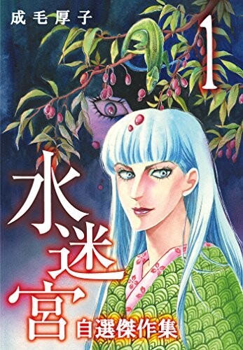Cover of 水迷宮