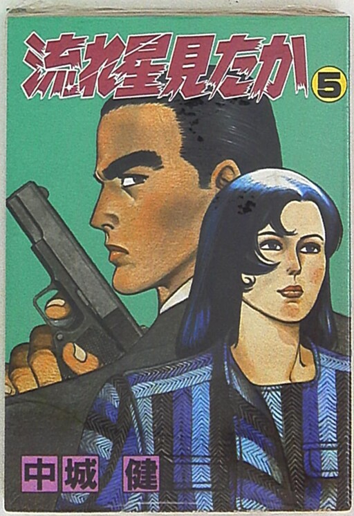 Cover of Did you see a Shooting Star?