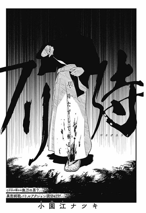 Cover of Furi Samurai