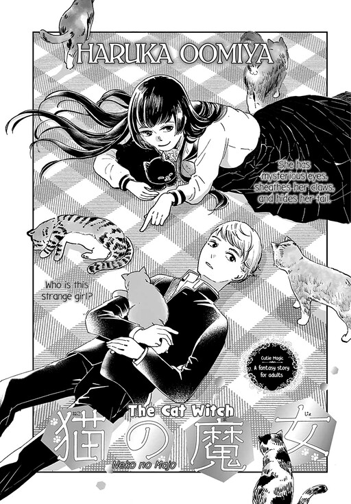 Cover of The Cat Witch