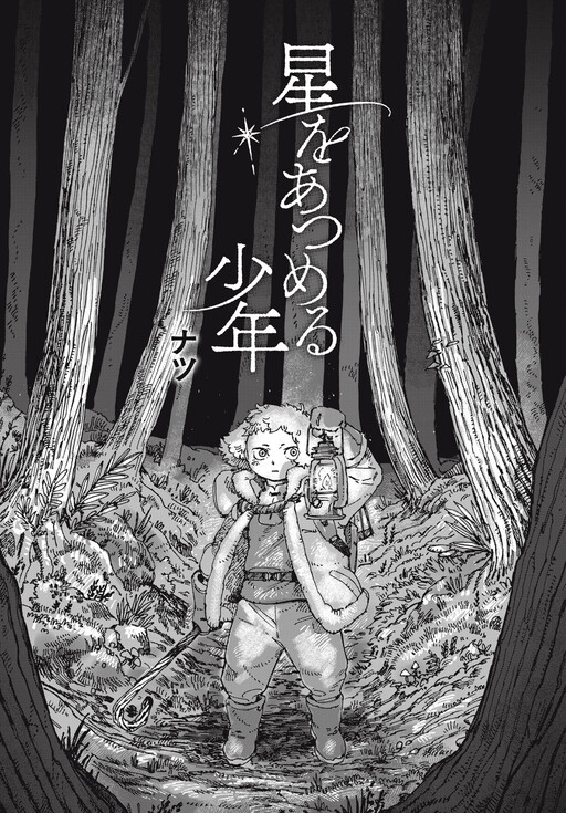 Cover of The Boy Who Collects the Stars