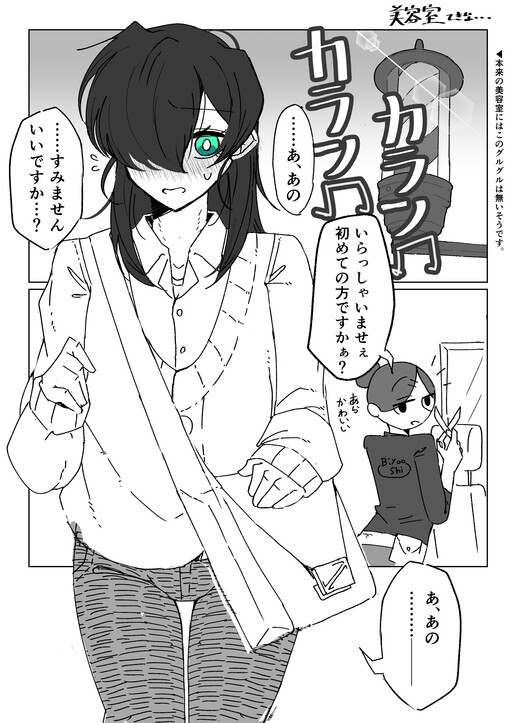 Cover of A Trip to the Beauty Salon