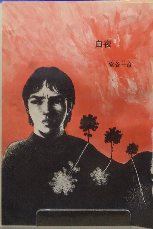 Cover of White Night