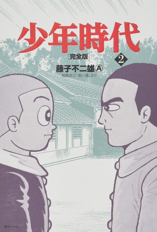 Cover of Boyhood