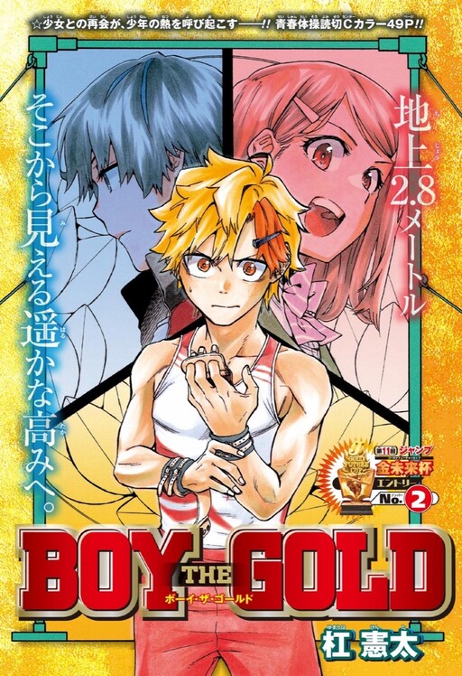 Cover of BOY THE GOLD