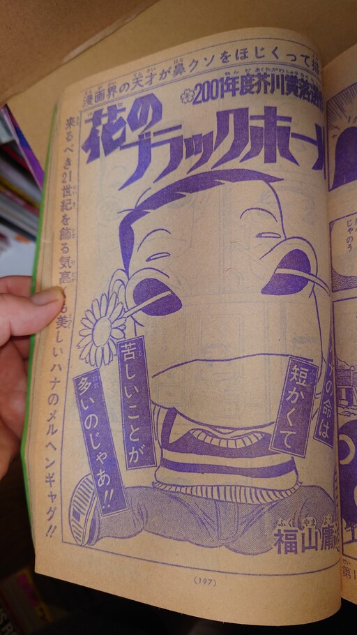 Cover of Flower Black Hole