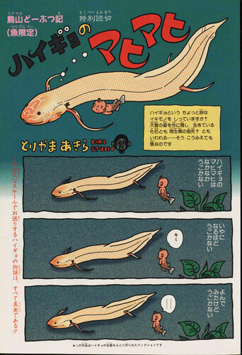 Cover of Mahimahi the Lungfish