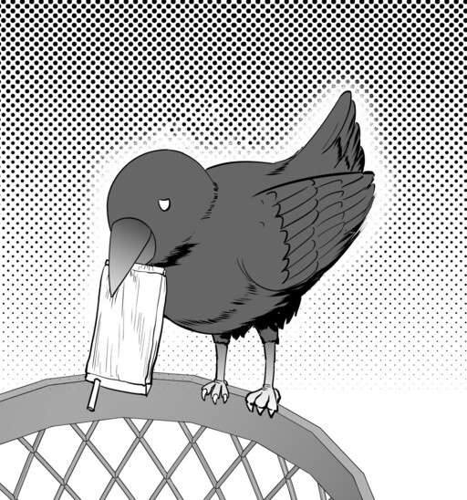 Cover of The Transformation of a Crow Who Likes Cleanliness