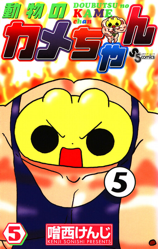 Cover of Animal Turtle