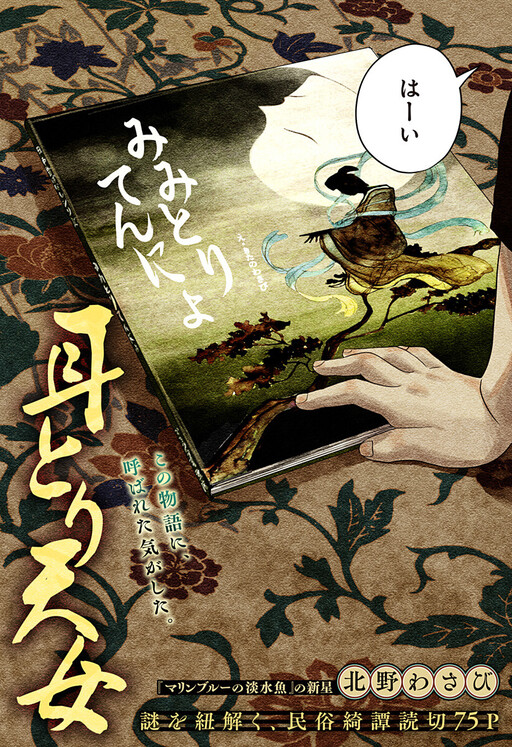 Cover of The Ear-Taking Maiden