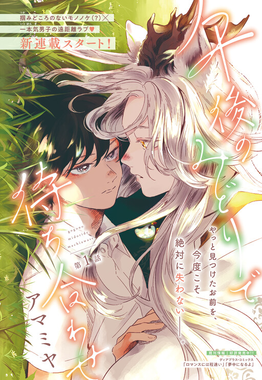 Cover of Meeting in the Afternoon Green