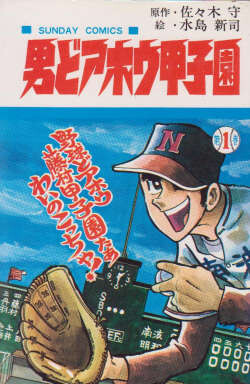 Cover of The Foolish Koshien