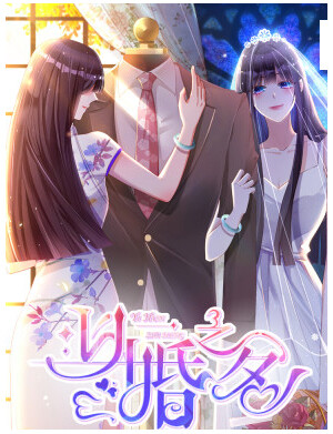Cover of In The Name Of Marriage