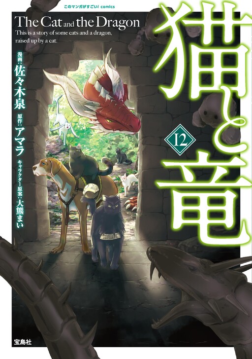 Cover of The Cat and the Dragon