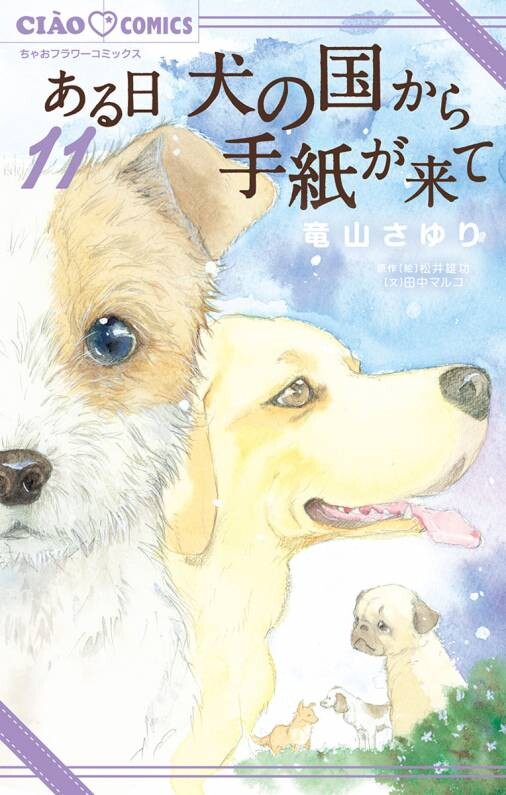 Cover of Letters from Heaven