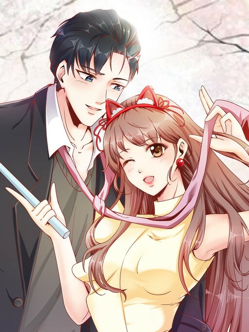 Cover of The President's Contract Lover
