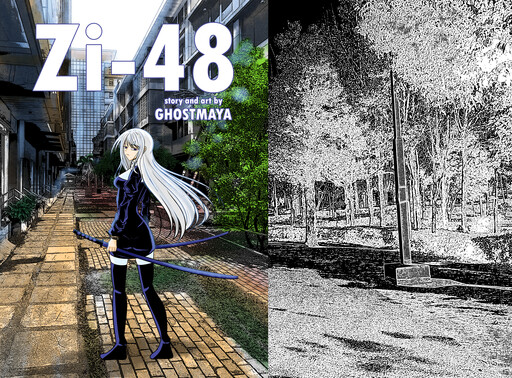 Cover of Zi-48