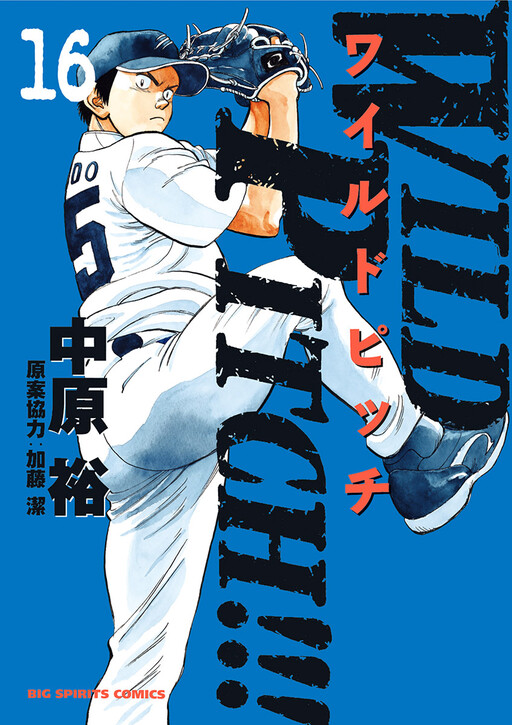 Cover of WILD PITCH!!!