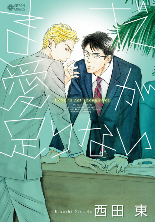 Cover of Mada Ai ga Tarinai
