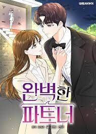 Cover of Perfect Partner (Sancha)