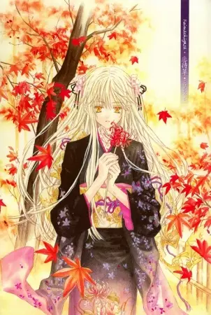 Cover of Tale of a White Night