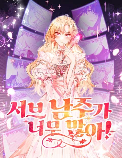 Cover of One Too Many Supporting Male Leads