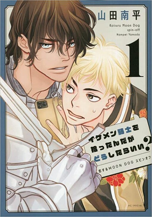 Cover of Ikemen Kishi wo Hirottanda ga Doushitara Ii?