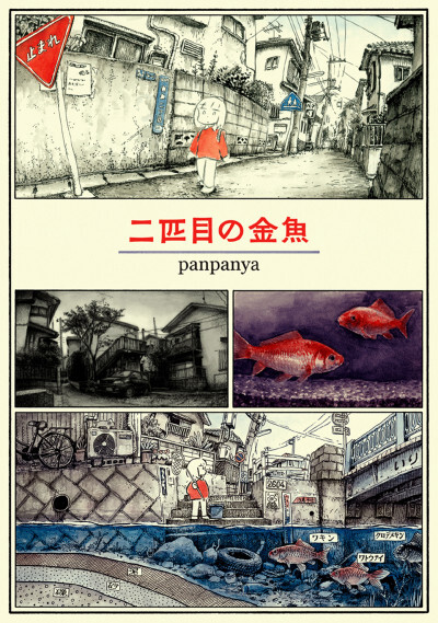 Cover of 二匹目の金魚